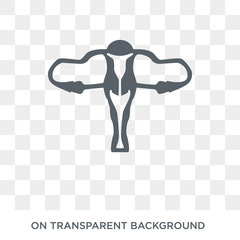 Uterus and Fallopian tube icon. Trendy flat vector Uterus and Fallopian tube icon on transparent background from Human Body Parts collection. High quality filled Uterus and Fallopian tube symbol use