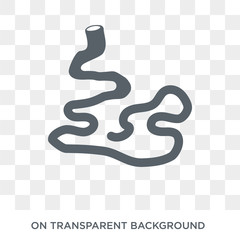 Small Intestine icon. Trendy flat vector Small Intestine icon on transparent background from Human Body Parts collection. High quality filled Small Intestine symbol use for web and mobile