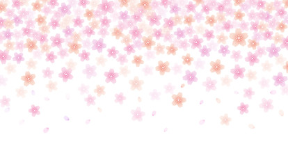 Cherry blossom background material
