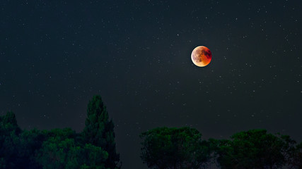Fototapeta na wymiar red moon stars sky