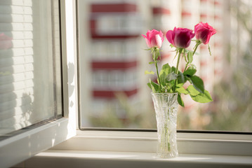  Pink roses in a glass vase on the window on the background of the city on a warm summer day