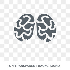 Brain body organ icon. Trendy flat vector Brain body organ icon on transparent background from Human Body Parts collection. High quality filled Brain body organ symbol use for web and mobile