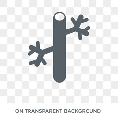 Blood Vessel icon. Trendy flat vector Blood Vessel icon on transparent background from Human Body Parts collection. High quality filled Blood Vessel symbol use for web and mobile