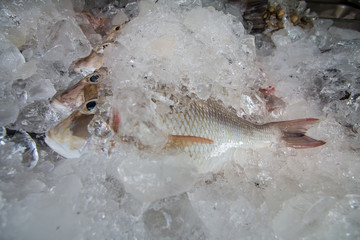 sea food in Thailand