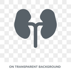 Kidneys icon. Trendy flat vector Kidneys icon on transparent background from Health and Medical collection. High quality filled Kidneys symbol use for web and mobile
