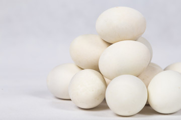Duck egg on white background