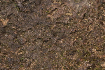 texture of old stone wall