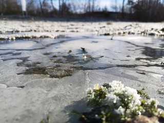 wasser eiskristall schnee landschaft natur winter nature art design hintergund eisblume gefroren sonne sun wald wiese