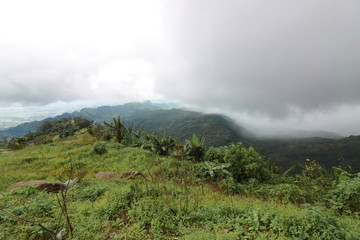 Tropical green mountain with heavy fog in rainy day