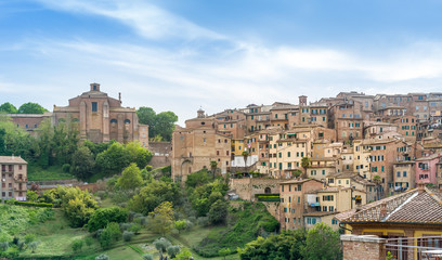 Fototapeta na wymiar Siena panoramic view