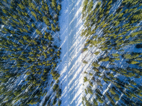 Snowy road through forest.