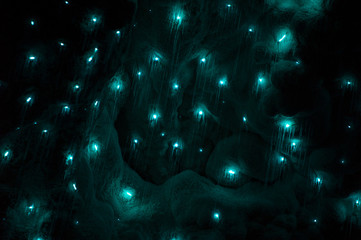glowworms in waitomo