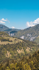 Smartphone HD wallpaper of alpine view at the Buchensteinwand