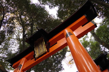 伏見稲荷神社の鳥居