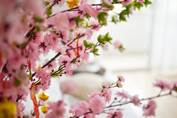 Cherry blossom, Sakura flowers, artificial flowers, fabric flowers in the modern room with windows full of light through white curtains