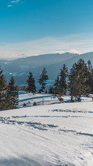 Fototapeta na wymiar Smartphone HD wallpaper of beautiful alpine winter view at Berchtesgaden - Bavaria - Germany