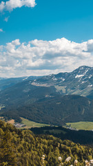 Naklejka na ściany i meble Smartphone HD wallpaper of alpine view near the Piller lake - Tyrol - Austria