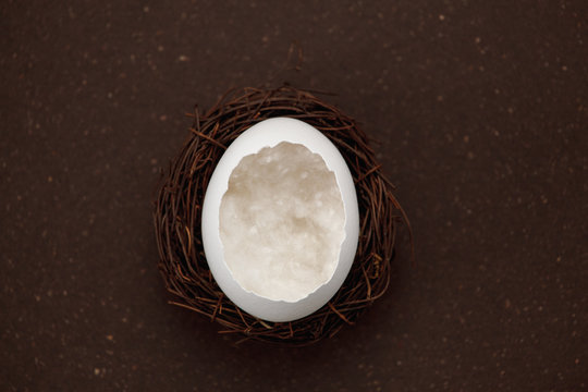 White egg in a nest on a dark background