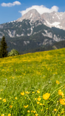 Smartphone HD wallpaper of Beautiful alpine view at Saalfelden - Salzburg - Austria