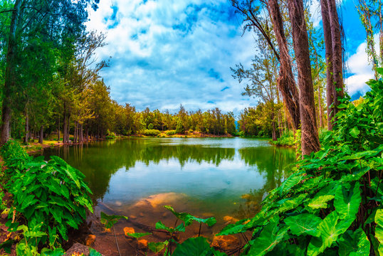 Place called '' Mare &agrave; Poule d'Eau '' in the Salazie circus on Reunion island - tourist site / tourism