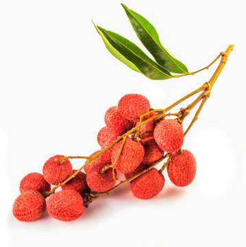 Bunch of ripe red letchi on a white background - Tropical fruit