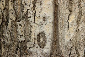 collection of different backgrounds and textures