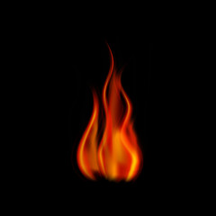 Fototapeta premium Realistic fire on a black background vector