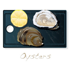 Fresh opened oyster vectorv images set on plate / dish isolated on white background.