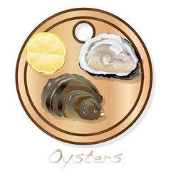 Fresh opened oyster vectorv images set on plate / dish isolated on white background.