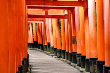 Fototapeta premium Red Torii gates in fushimi inari shrine. Famous landmark in Kyoto, Japan.No letters japan