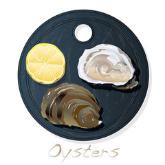 Fresh opened oyster vectorv images set on plate / dish isolated on white background.