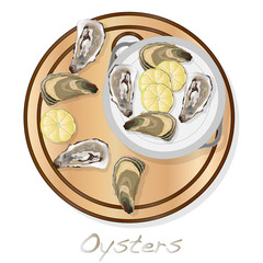 Fresh opened oyster vectorv images set on plate / dish isolated on white background.