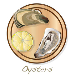 Fresh opened oyster vectorv images set on plate / dish isolated on white background.