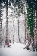 Schneegestöber