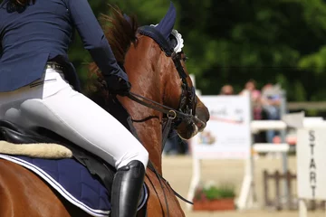 Foto op Canvas Horse, jumping horse in close-up on a tournament.. © RD-Fotografie