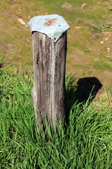 Wooden pole used for temporary sitting with metal cap on top nailed with rusted nails surrounded with high grass and small stream on warm sunny day