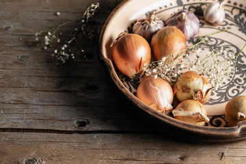 raw onion close-up in the morning light, in a beautiful handmade decorative plate