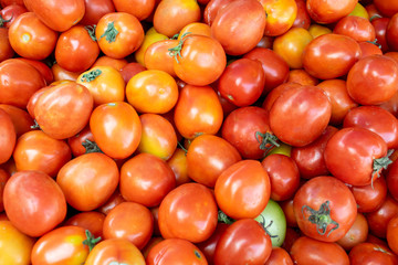 The fresh tomatoes on a tray for sale in the bazaar.