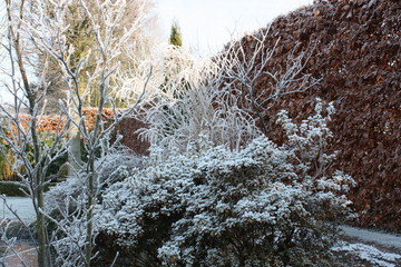 garten im winter