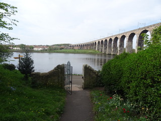 ponte