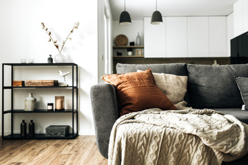 Modern Nordic Scandinavian interior design. Bright open space living room with comfortable couch, knitted plaid, ginger pillow, kitchen, wooden floor. Elegant apartment for rent concept.
