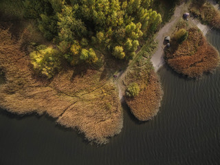 Wybrzeże