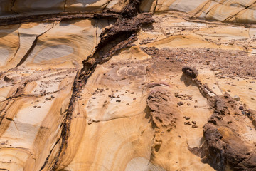 Detailaufnahme - Kalkstein - Bouddi Nationalpark
