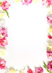 Flowers border frame made of pink and yellow  gladioluses on white background. Pattern of gladioli,  holiday greeting card.  Flat lay, top view. Flowers background. Frame of flowers. Copy space