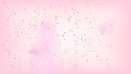 Nice Sakura Blossom Isolated Vector. Tender Falling 3d Petals Wedding Pattern. Japanese Bokeh Flowers Illustration. Valentine, Mother's Day Magic Nice Sakura Blossom Isolated on Rose