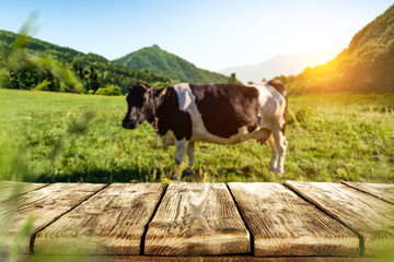 Table background of free space and cow on grass 