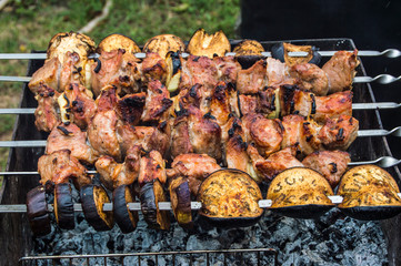 kebab cooked in nature