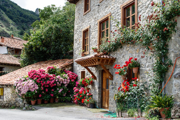 Fototapeta na wymiar Casa de pueblo con flores