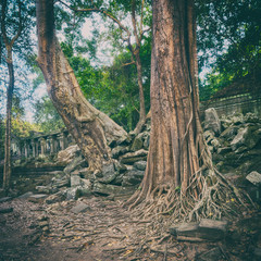 Beng Mealea or Bung Mealea temple. Siem Reap. Cambodia