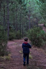 hiking in the forest